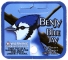 BLUE JAY - FABRICAS SELECTAS - FABRICAS SELECTAS 20+1 (FACE)